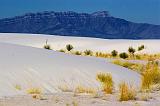 White Sands_32219